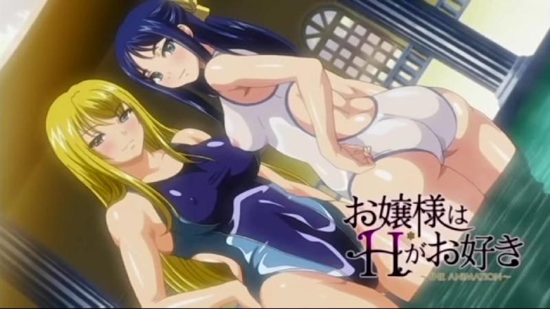 お嬢様はHがお好き 合集 