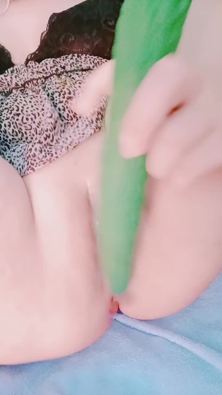 二零二三七月十二_白虎大的