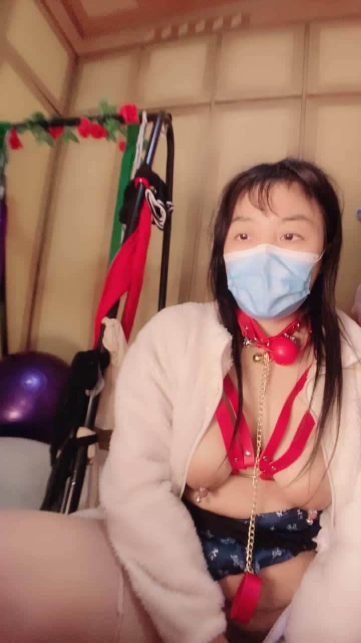 二零二六一月二十七号_单身小母狗1